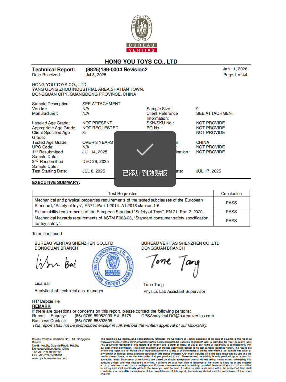 Squishy Bureau Veritas technical report
